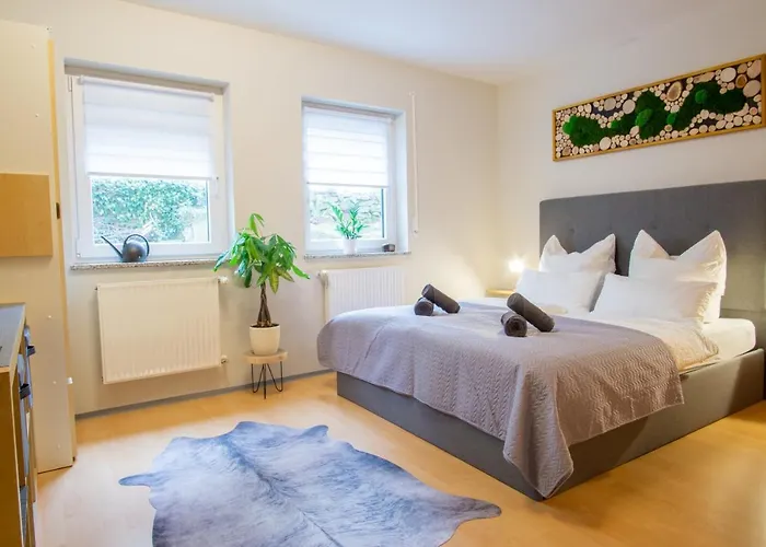 Zum Sperberring - Parkplatz - Wallbox - Wlan - Netflix&disney - Sehr Ruhig - Perfekt Zum Entspannen&erholen Apartment